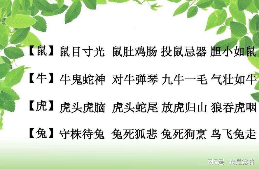 危險闕頭應避開，飲水思源應記取打一生肖,定量解答解释落实_3uk04.33.69